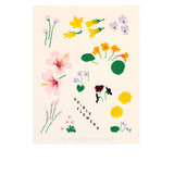 Edible Flowers Print