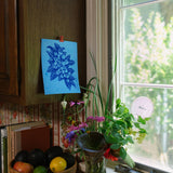 Screen Printed Blueberries Sponge Cloth - Stocking Stuffers