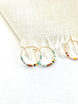 Small Desert Hoops