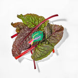 Large Rainbow Chard Hair Claw Clip