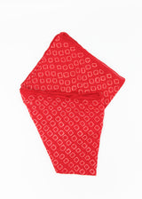 Circles Bandana