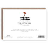 Fly Agaric Greeting Card