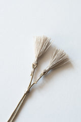 Leather Talisman with Silver