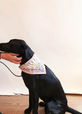 Bandanas