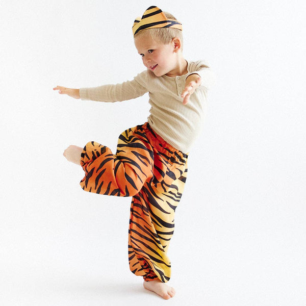 Tiger Costume