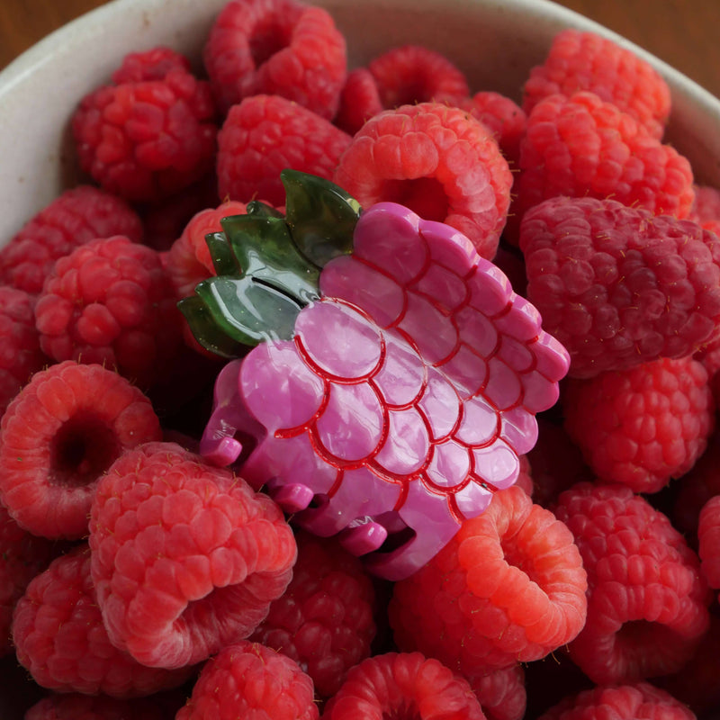 Mini Raspberry Hair Claw Clip