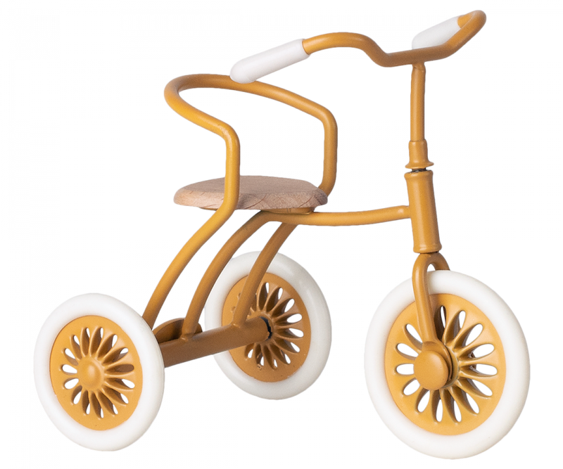 Abri à Tricycle