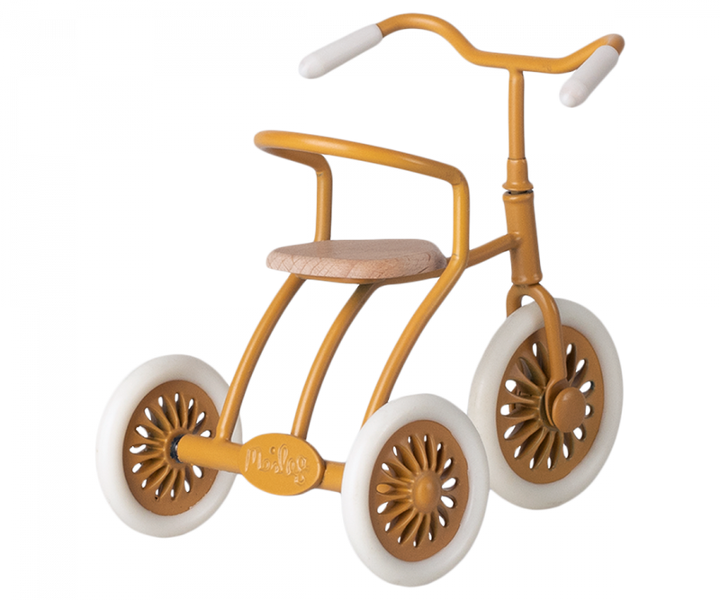 Abri à Tricycle