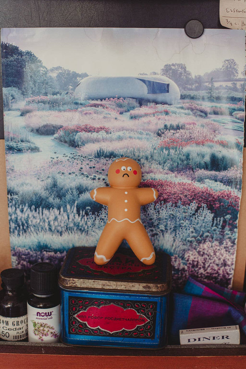 Gingerbread Stress Ball