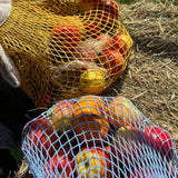 The french market bag no.2 in yolk