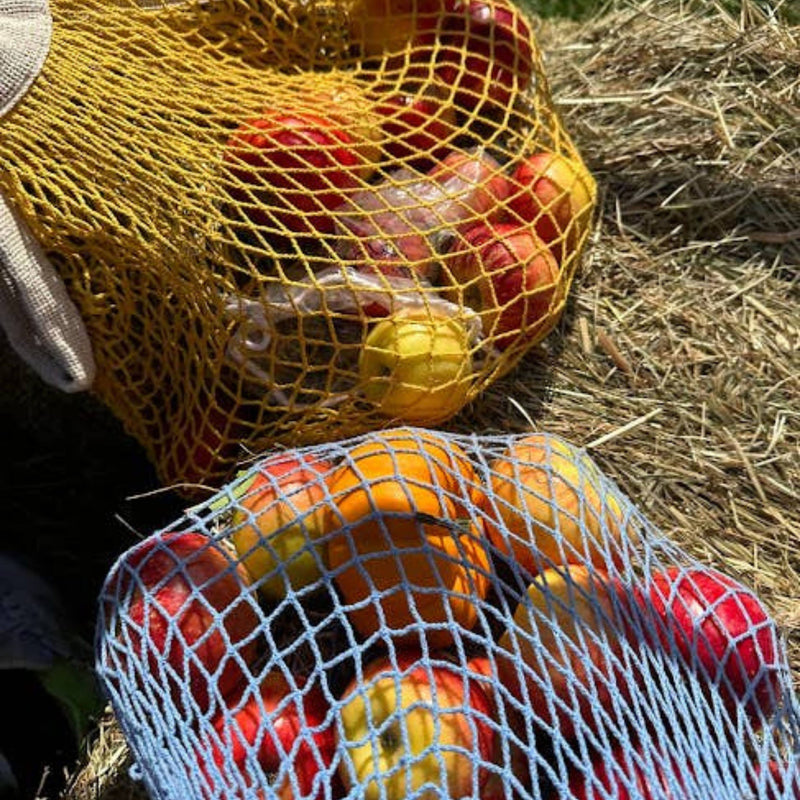 The french market bag no.2 in yolk