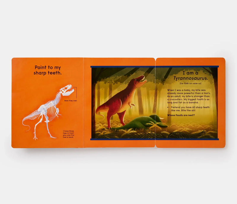 Who's That Dinosaur?