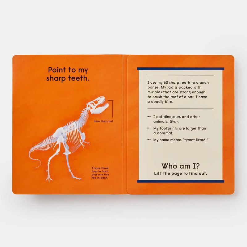 Who's That Dinosaur?