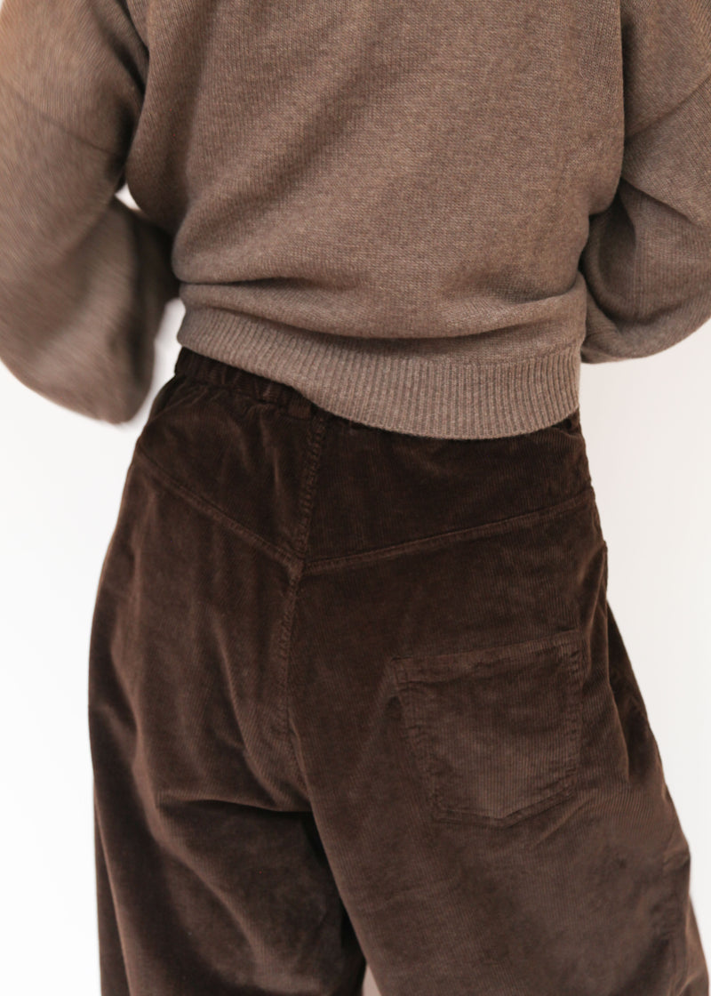 Corduroy Baggy Pants -Brown