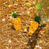 Carrot Alligator Hair Clip Set