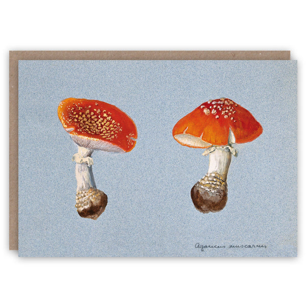 Fly Agaric Greeting Card