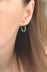 Small Desert Hoops