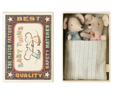 Twins, Baby Mice In Matchbox