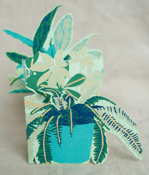 Plant Pot Greeting Card