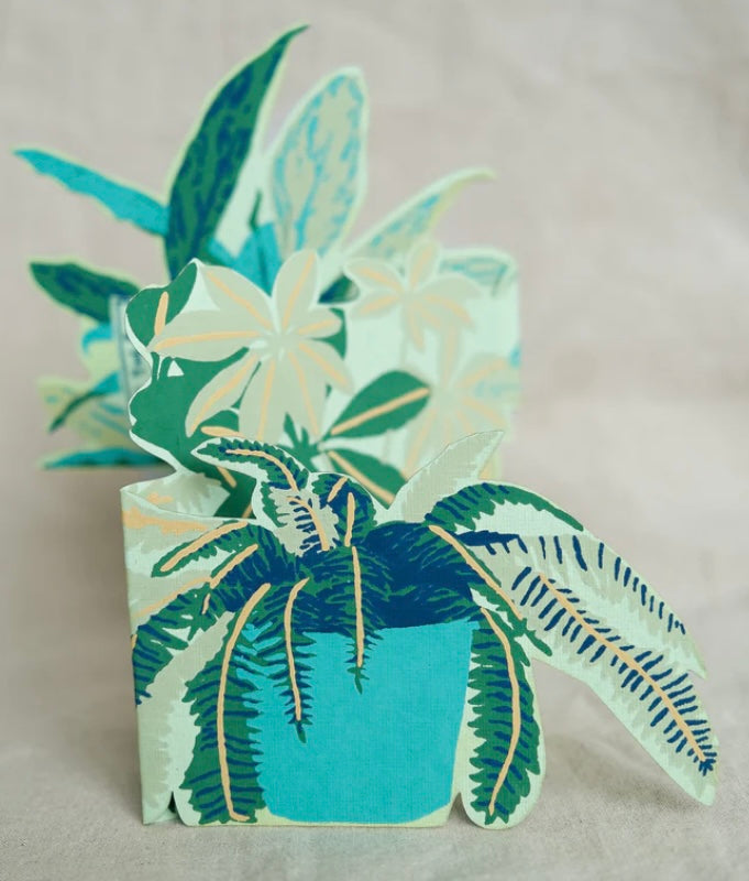 Plant Pot Greeting Card