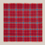 Alpha Scarf No844
