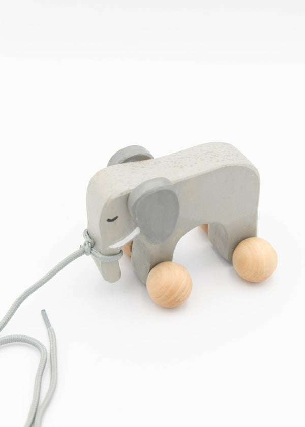 Wooden Pull Toy