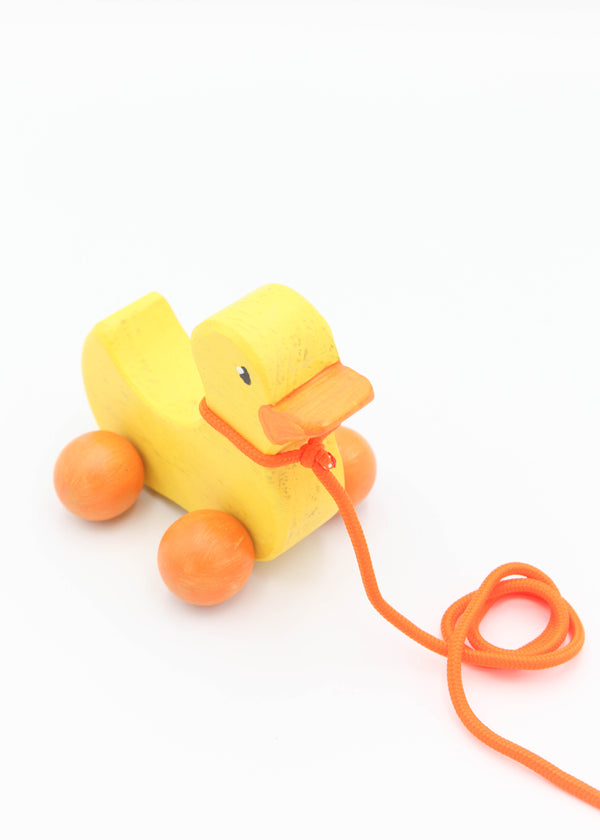 Wooden Pull Toy