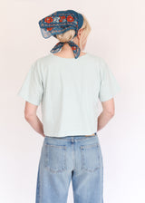 Short Sleeve Crop V-neck - Mist