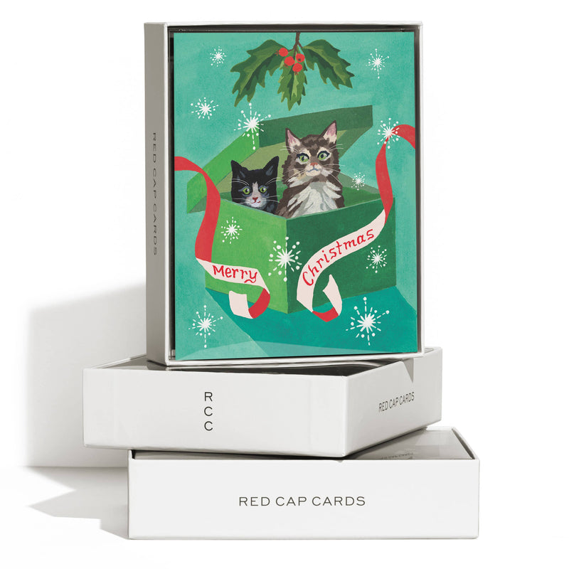 Merry Christmas Cat holiday greeting card