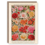 Roses Greeting Card