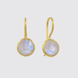 Small Faceted Organic Stone Drops Dangle Earrings