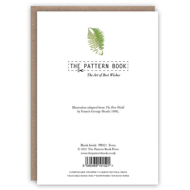 Ferns Greeting Card