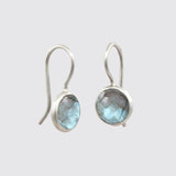 Small Faceted Organic Stone Drops Dangle Earrings